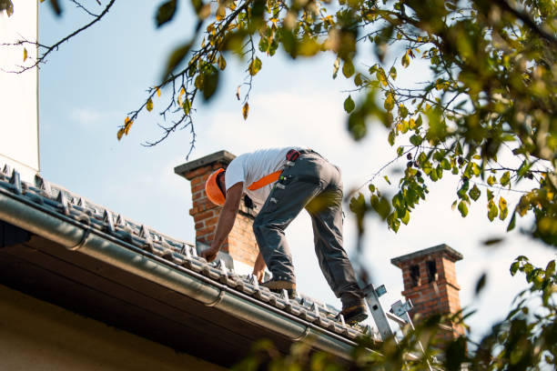 Best Residential Roofing Contractor  in Quincy, IL