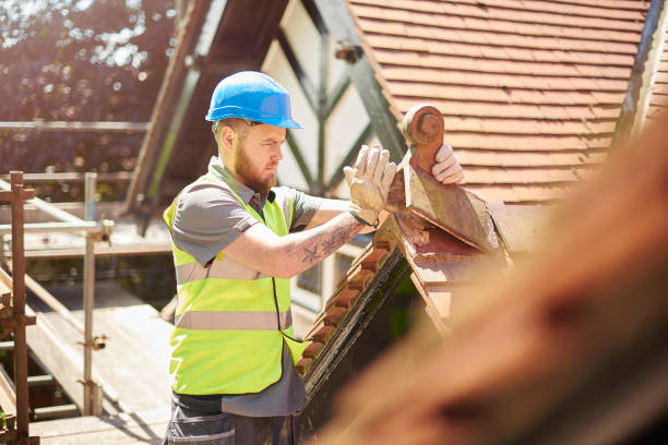 Best Roof Gutter Cleaning  in Quincy, IL