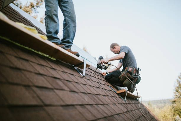 Best Storm Damage Roof Repair  in Quincy, IL